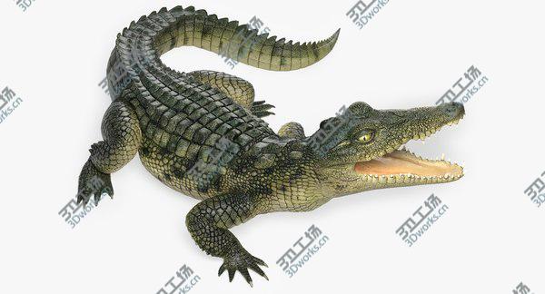 images/goods_img/20210312/Crocodile 3D/5.jpg